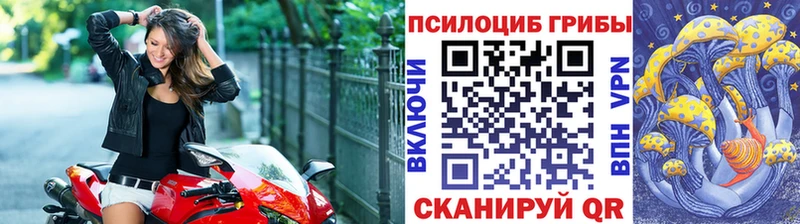 сайты даркнета как зайти  Красный Сулин  Псилоцибиновые грибы Cubensis 